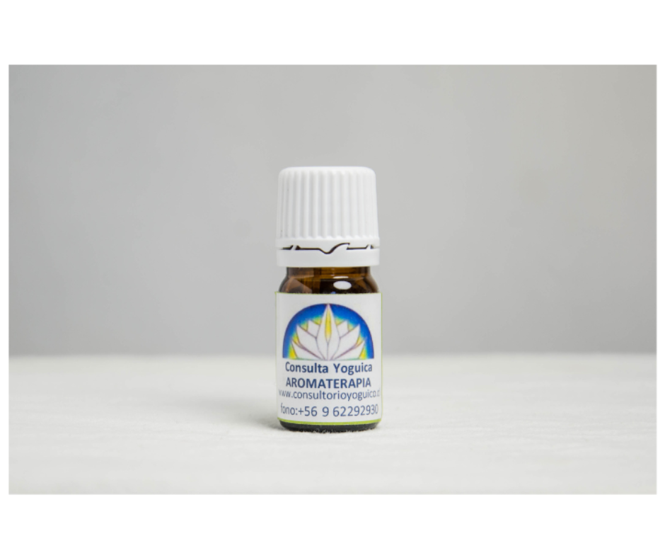 Aceite esencial de romero (Aroma terapia orgánica de Romero)