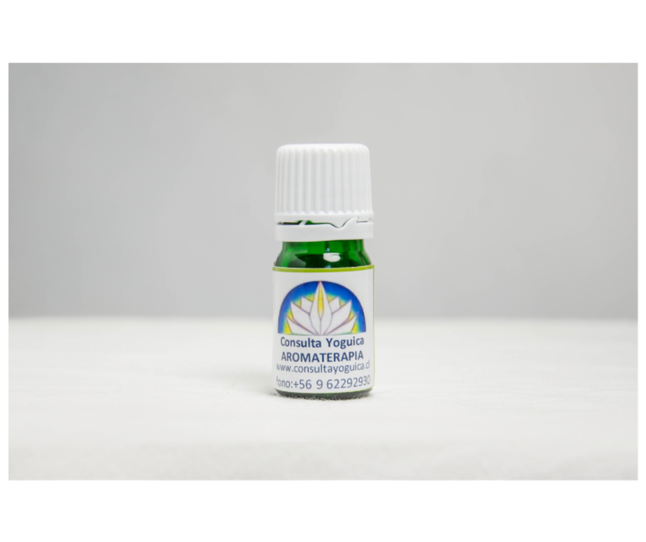 Aceite esencial orgánico de Eucalipto 5ml