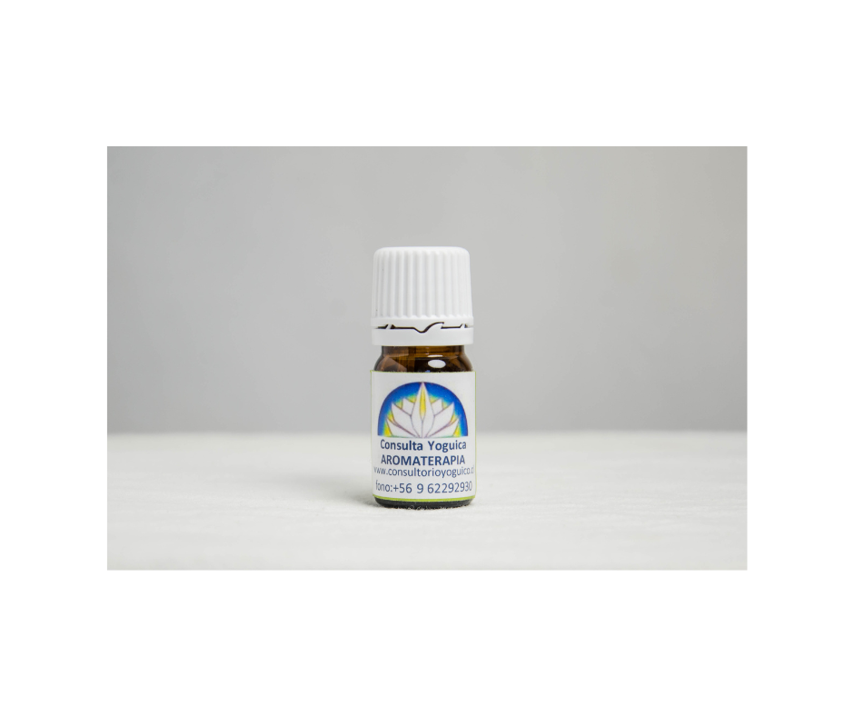 Aceite esencial de romero (Aroma terapia orgánica de Romero)