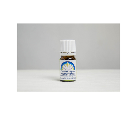 Aceite esencial de romero (Aroma terapia orgánica de Romero)