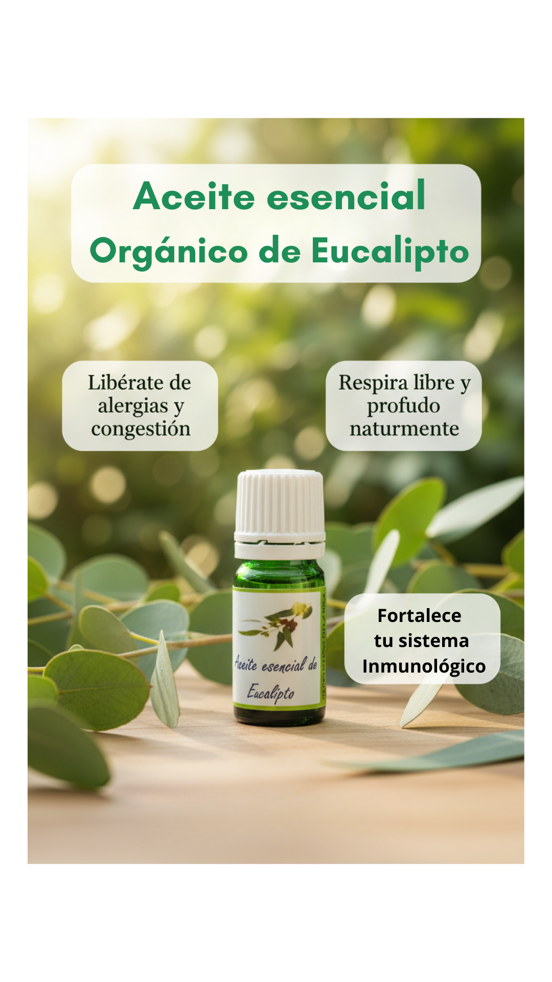 Botiquín Premium de Aromaterapia Orgánica — Lavanda, Romero y Eucalipto