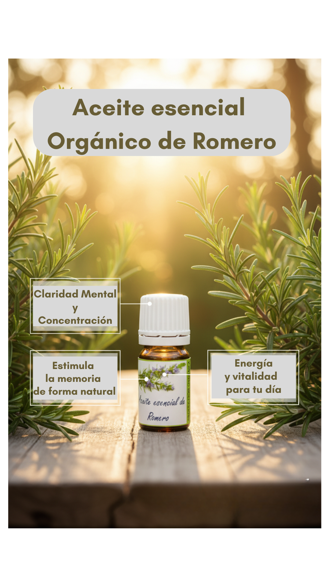 Botiquín Premium de Aromaterapia Orgánica — Lavanda, Romero y Eucalipto