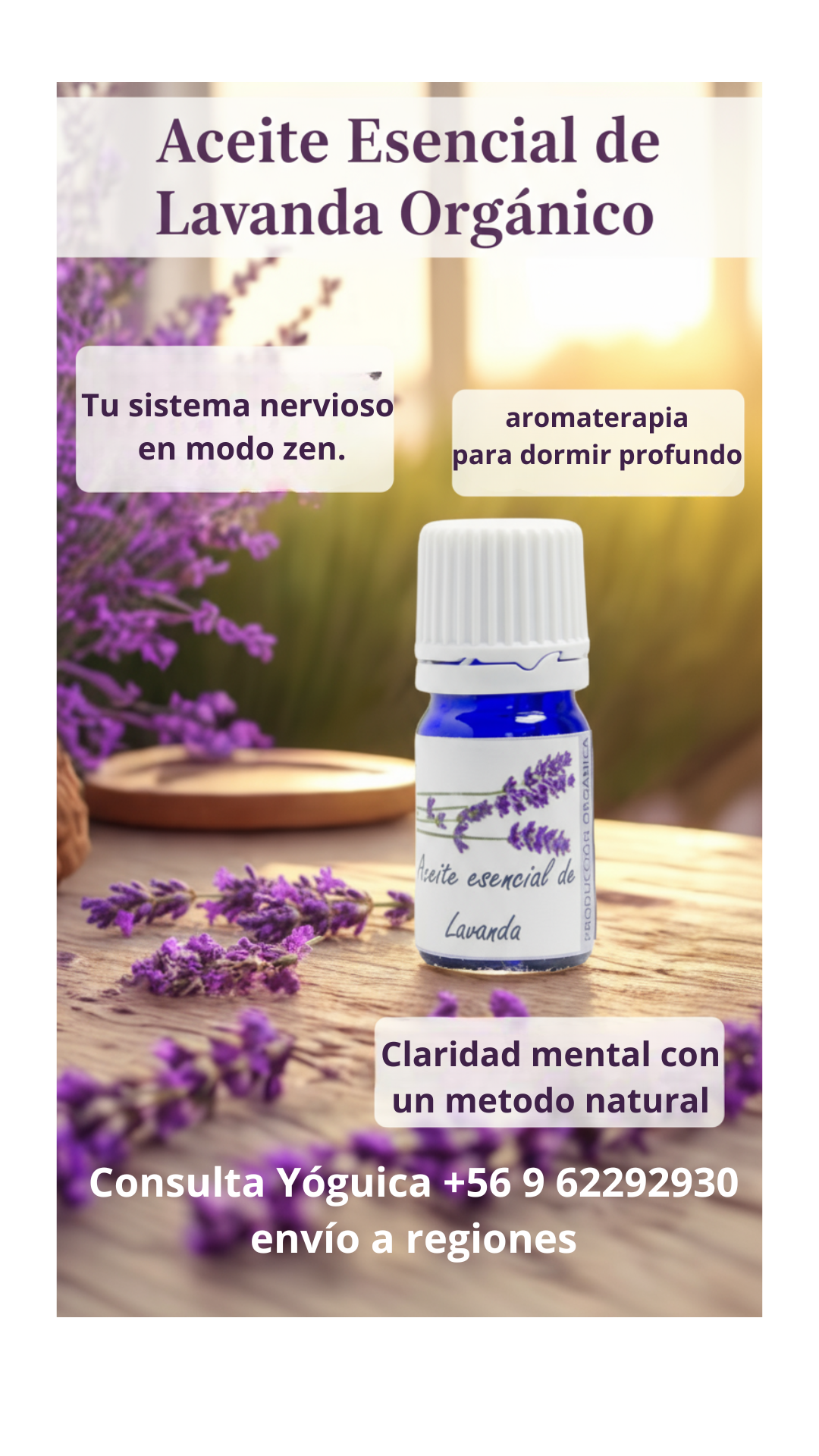 Trío Lavanda — 3 Aceites Esenciales Orgánicos de Lavanda 5ml
