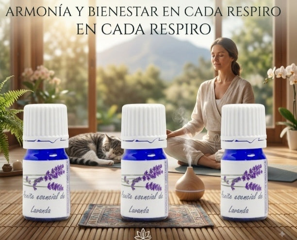 Trío Lavanda — 3 Aceites Esenciales Orgánicos de Lavanda 5ml