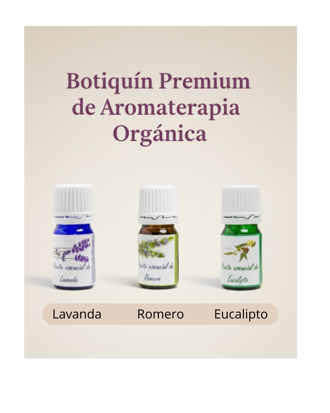 Botiquín Premium de Aromaterapia Orgánica — Lavanda, Romero y Eucalipto